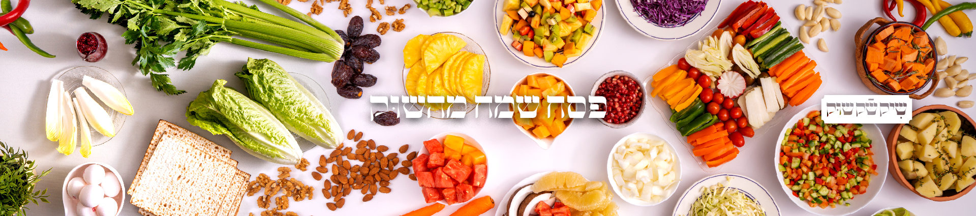 home page Banner_Passover 2022 copy